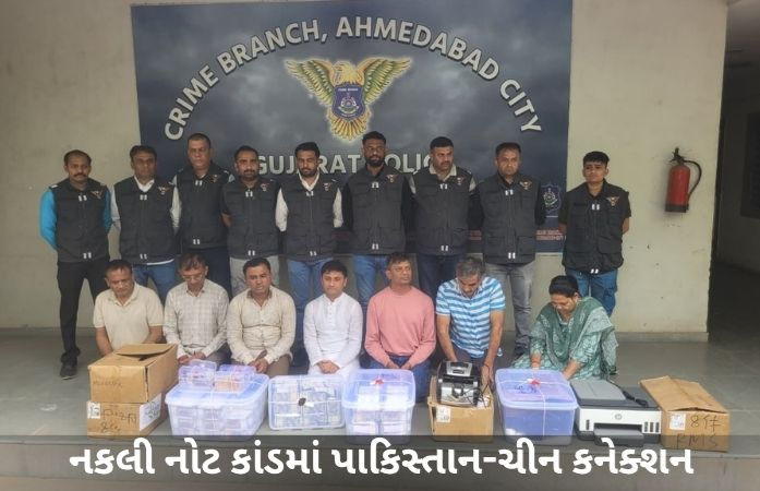 યોગ ગુરુ પ્રદીપે કરોડોની નકલી નોટો બજારમાં ફરતી કરી હતી! ચીન-પાક. દ્વારા આર્થિક આતંકવાદની આશંકા 1 - image