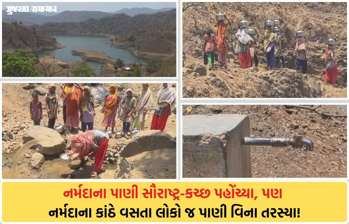 છોટા ઉદેપુરમાં 'નલ સે છલ': આકરી ગરમીમાં 2 બેડા પાણી માટે 2 કિલોમીટર દૂર પગપાળા જવું પડે છે, નસવાડી તાલુકાના ગામડાની બદતર હાલત 2 - image