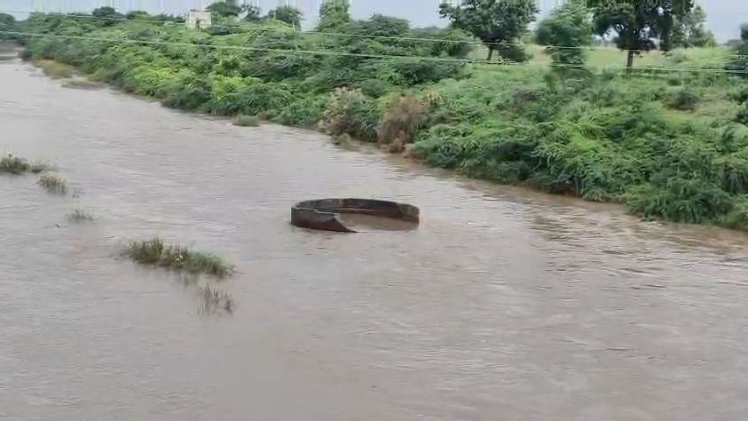 અમરેલી જિલ્લામાં ઉપરવાસમાં ભારે વરસાદ, શેત્રુંજી સહિતની નદીમાં પૂરની સ્થિતિ 2 - image