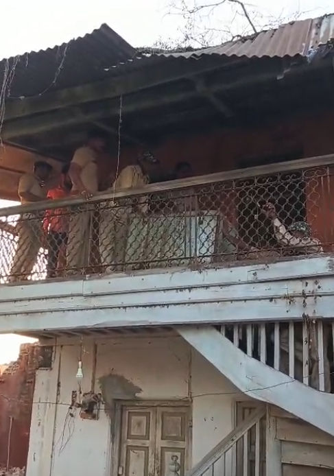 નર્મદા: મંદિરના બંધ રૂમમાંથી વાઘના ચામડા-નખ મળવાનો કેસ, તપાસમાં IB જોડાઈ, MPથી USA સુધી તપાસનો ધમધમાટ 3 - image