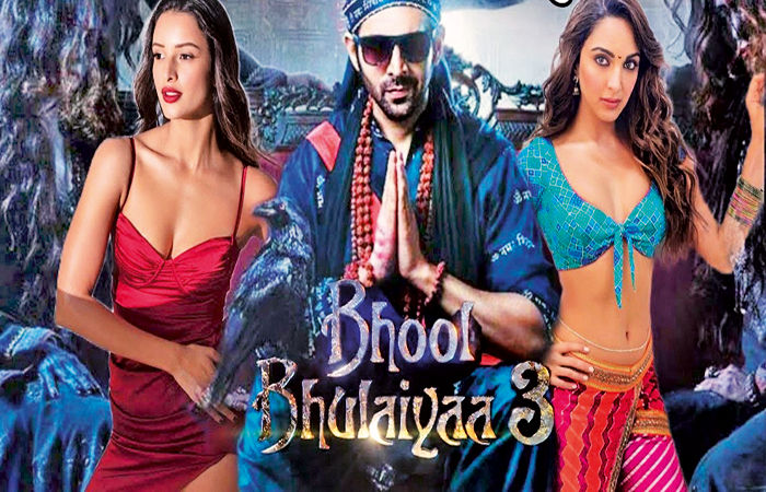 ભૂલભૂલૈયા થ્રીમાં કિયારાની જગ્યાએ તૃપ્તિ ડિમરી ગોઠવાઈ ગઈ 1 - image