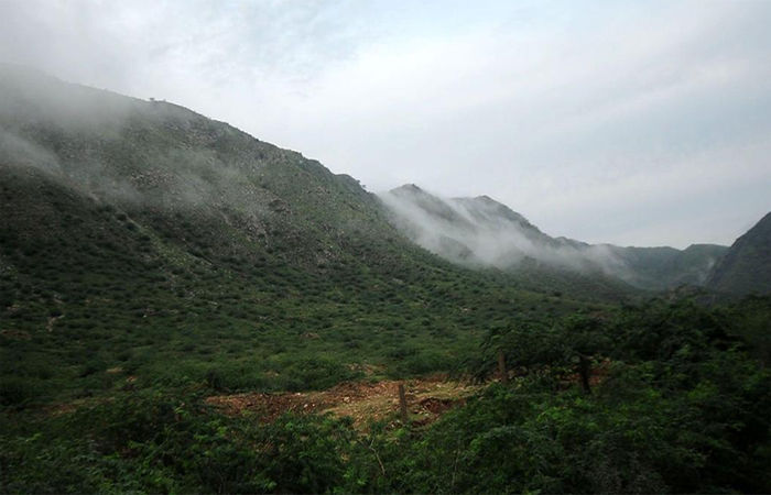 અરવલ્લીનો 31% હિસ્સો જોખમમાં, ભૂગર્ભ જળ સંગ્રહ અટકી જશે : કેન્દ્રના દાવાને નકારતી સ્ટડી 1 - image