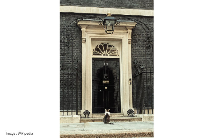 UKનો સરકારી બિલાડો 'લેરી': 6 PM બદલાયા પણ તે 15 વર્ષથી 'સત્તા'માં! વર્લ્ડ લીડર્સ સામે પણ રાજા જેવો મિજાજ 2 - image