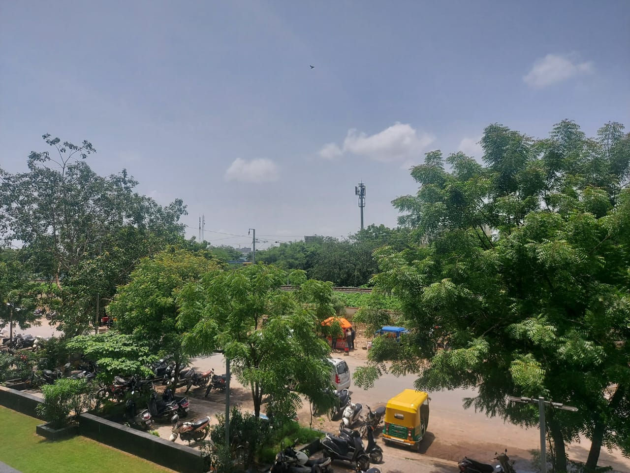 After chopping 12000 trees in seven years Ahmedabad plans to go green