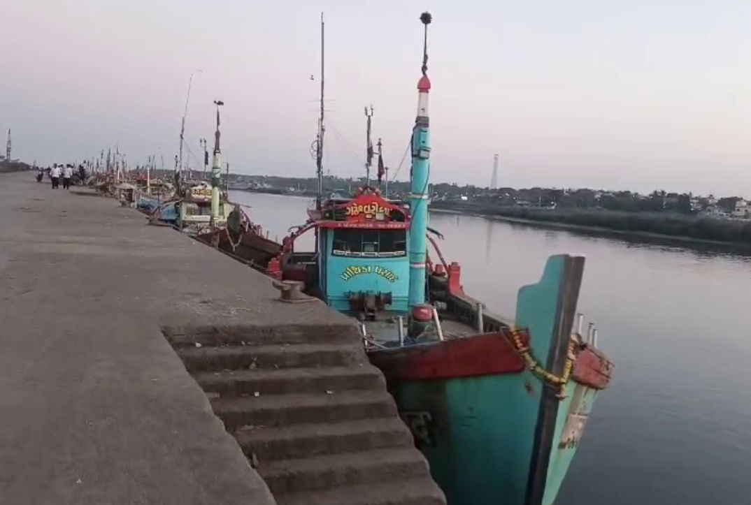 જાફરાબાદનું 'સફેદ સોનું': 'બૂમલા' માછલીએ જાફરાબાદને વૈશ્વિક નકશા પર અપાવ્યું સ્થાન, વાર્ષિક 450 કરોડનો વેપાર 5 - image