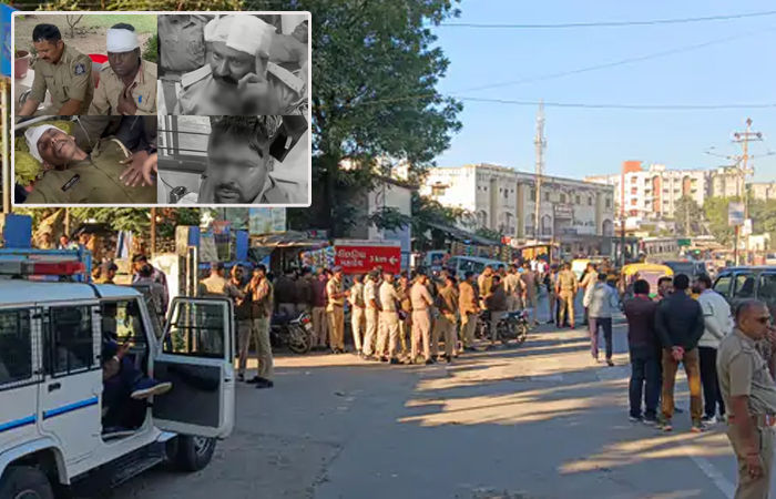 ‘તમે તમારી જાતને સંસદથી પણ ઉપર સમજો છો?...’ બાલારામ જમીન વિવાદમાં હાઈકોર્ટે લીધો વન વિભાગના અધિકારીઓનો ઉધડો 2 - image