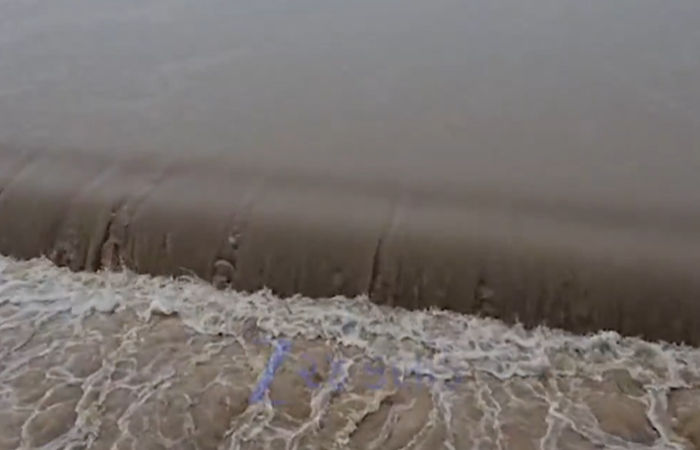 તાપીના ડોલવણમાં મેઘરાજાની ધડબડાટી, 6 ઈંચ વરસાદ ખાબકતાં જળબંબાકાર, નદીઓ બે કાંઠે 1 - image