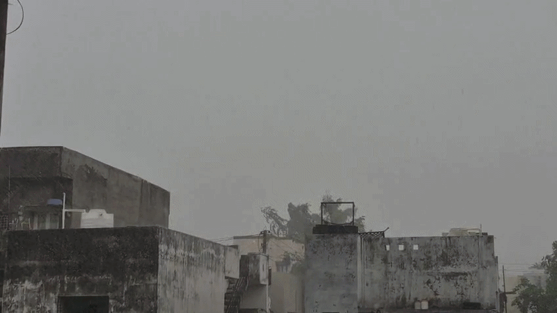 ગુજરાતમાં કમોસમી વરસાદનું સંકટ, 3 સિસ્ટમ સક્રિય થતાં અનેક જિલ્લામાં યલો ઍલર્ટ 1 - image