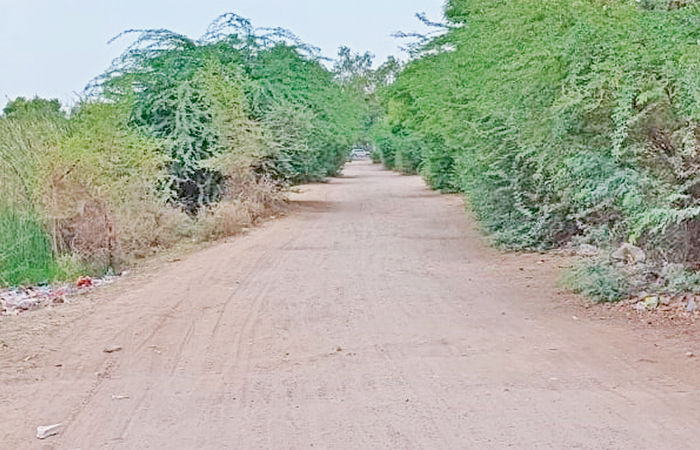 મેક્સન સર્કલથી ધોળીધજા ડેમને જોડતા બિસ્માર રસ્તાથી લોકો પરેશાન 1 - image