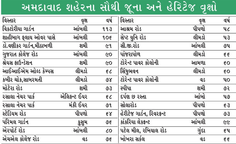 અમદાવાદમાં 422 હેરિટેજ વૃક્ષો મળ્યાં, 113 વર્ષની આંબલી, 91 વર્ષનું શમી! ગણતરી હજુ ચાલુ 2 - image