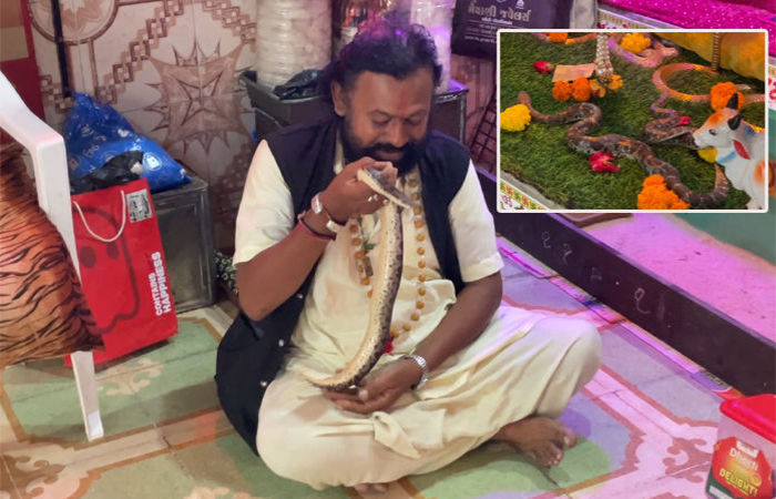 રાજકોટ ખેતલા આપા મંદિરમાંથી મળેલા સર્પો સેન્ડબોઓ પ્રકારના બીનઝેરી હતા 1 - image