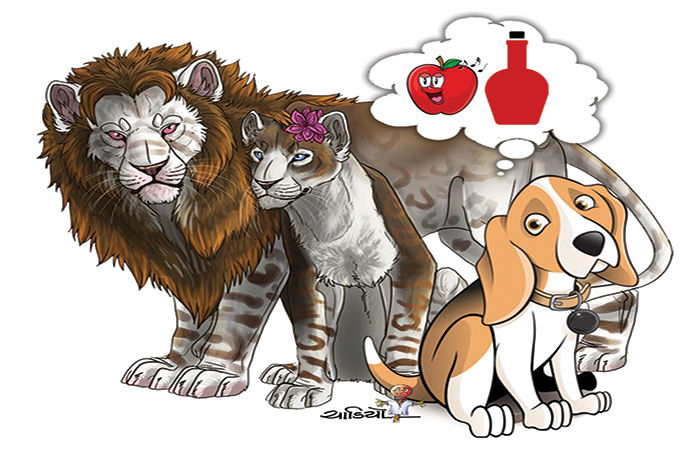 ડર ભાગ્યો ભમભમ . 1 - image