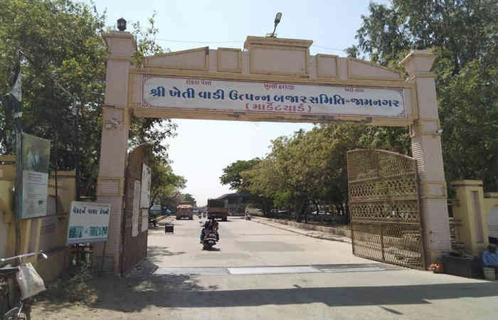 જામનગરના હાપા માર્કેટીંગ યાર્ડમાં શાકભાજીમાં કેરેટ દીઠ શેષ ઉઘરાવવાનો વેપારીઓનો વ્યાપક વિરોધ 1 - image