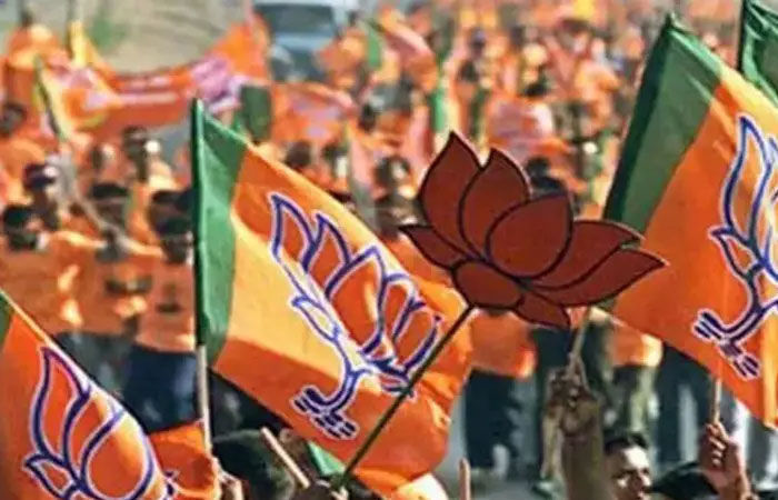 33 districts to get presidents BJP faces internal ruckus after 1300 applications