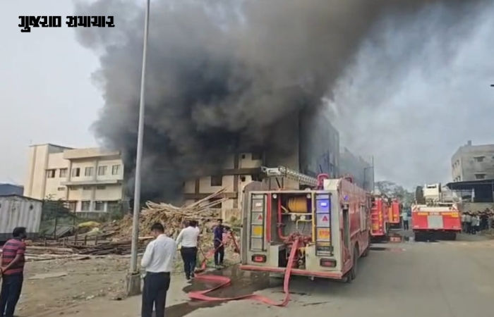 વાપીના વાઈબ્રન્ટ પાર્કની એક કંપનીમાં લાગી ભીષણ આગ, ફાયરની 8 ગાડી ઘટનાસ્થળે 2 - image