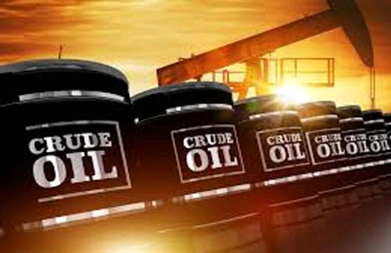 ભારતની જેમ અન્ય દેશો પણ રશિયા પાસેથી ઓઇલ ખરીદી શકશે 1 - image