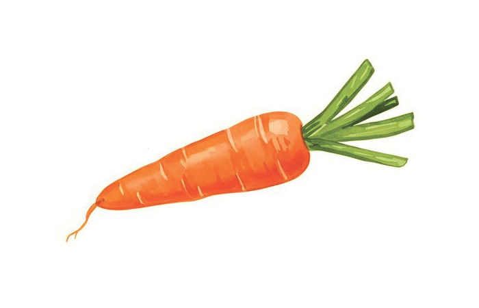 અજમાવી જૂઓ                                                                                      . 2 - image