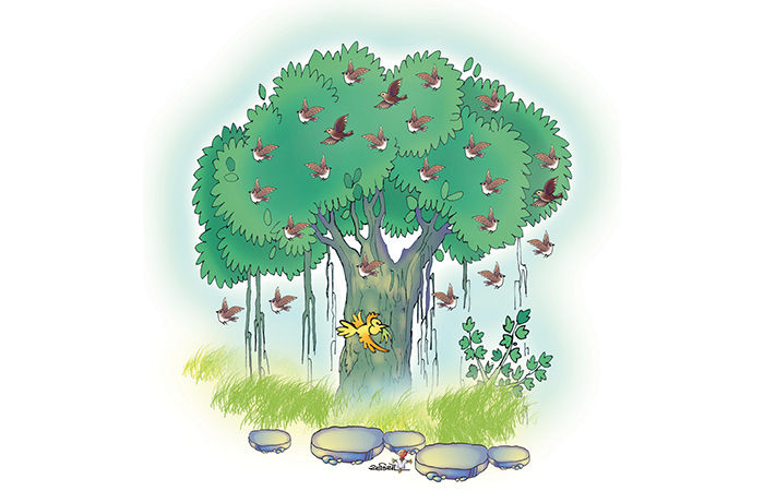 અનોખી ચકલી . 1 - image