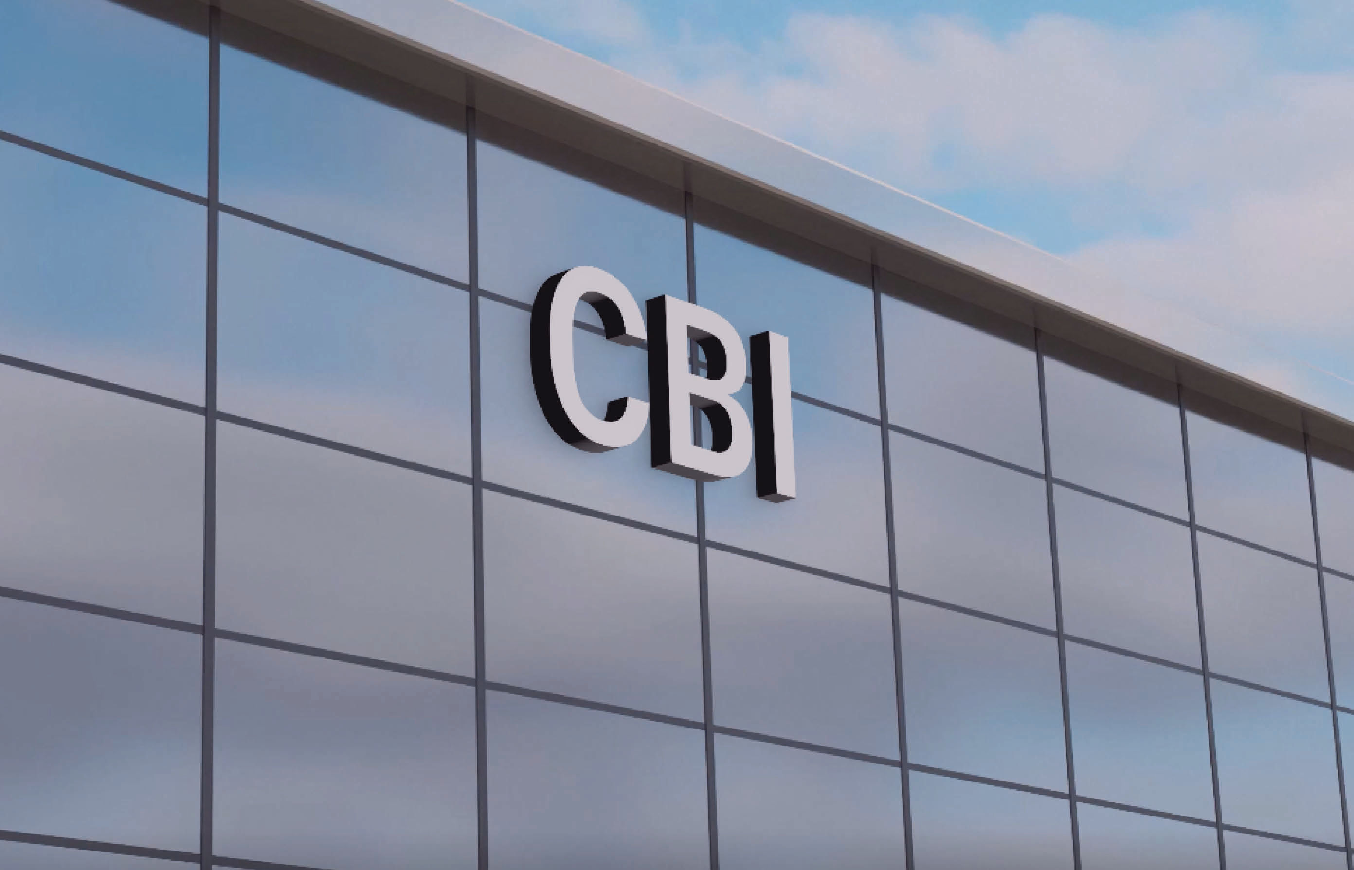 CBIની મોટી કાર્યવાહી, BSIના ટોચના અધિકારીને લાંચ લેતા પકડી પાડ્યા 1 - image