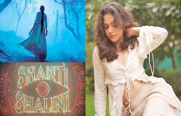 અનિત પડ્ડા શક્તિ શાલિનીમાં ડબલ રોલમાં હશે 1 - image