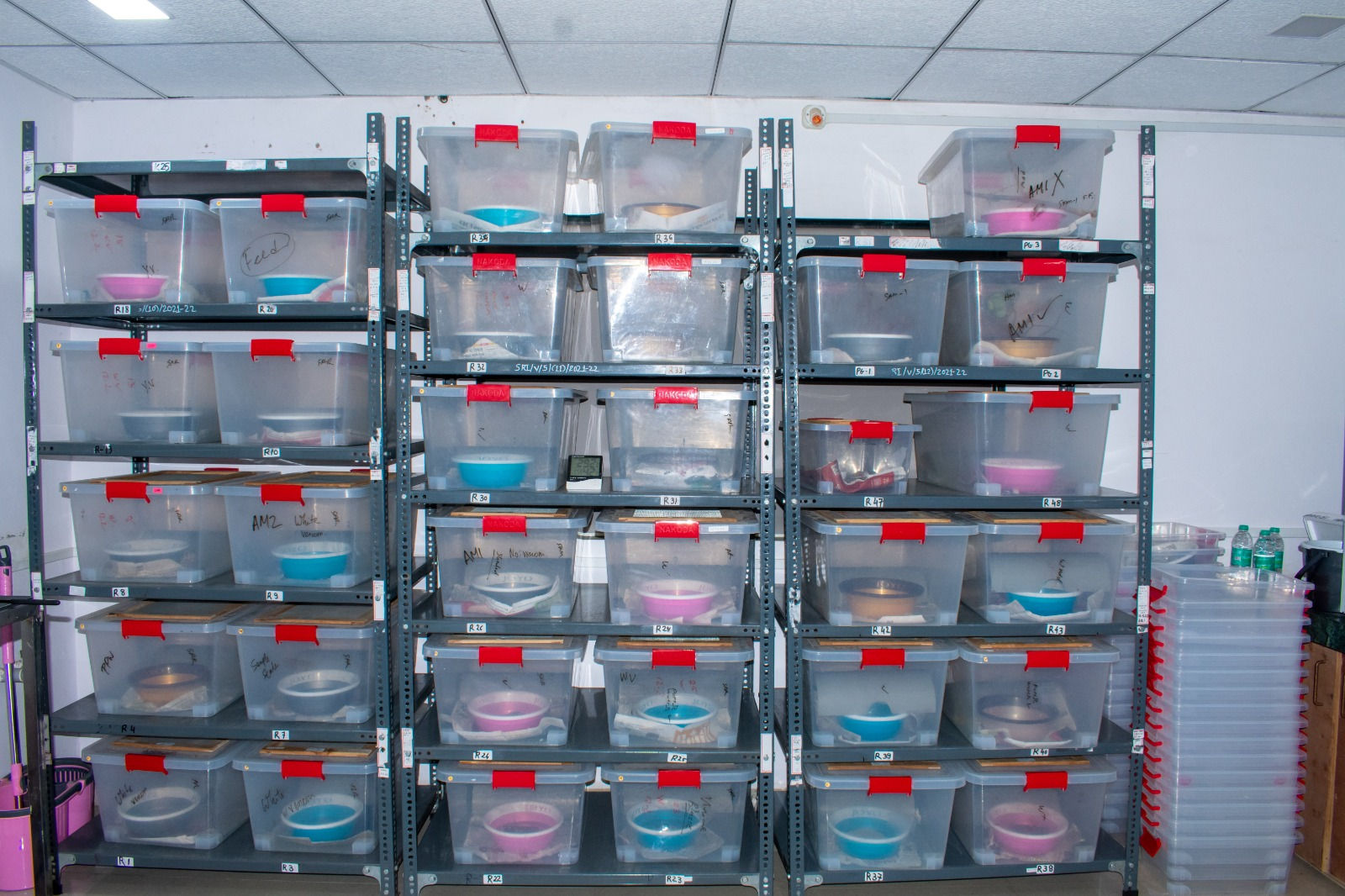 ઝેરનું મારણ 'ગુજરાતનું' ઝેર: હવે રાજ્યના ઝેરી સાપોમાંથી જ બનશે સર્પદંશ વિરોધી રસી, ધરમપુરની SRI દેશની બીજી એવી સંસ્થા 3 - image