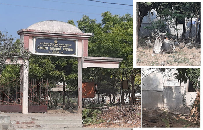 ભુજના તોરલ ગાર્ડનનો કબ્જો નગરપાલિકા કયારે સંભાળશે ? 1 - image