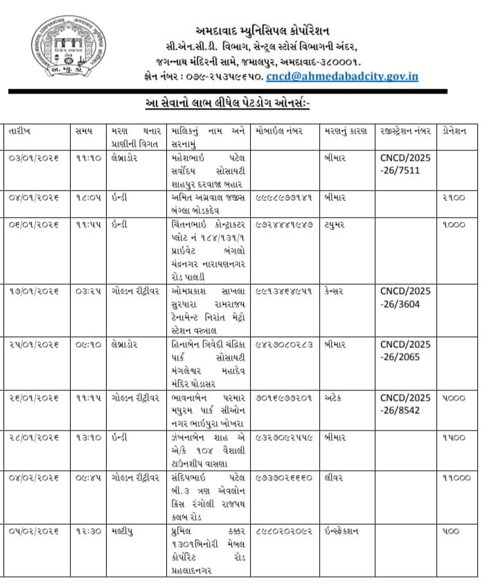 ગુજરાતનું પ્રથમ આધુનિક 'સ્વાન મુક્તિ ધામ' અમદાવાદમાં શરૂ, પાલતુ કૂતરાઓને મળશે સન્માનપૂર્વક અંતિમ વિદાય, જાણો કેવી છે સુવિધા? 4 - છબી