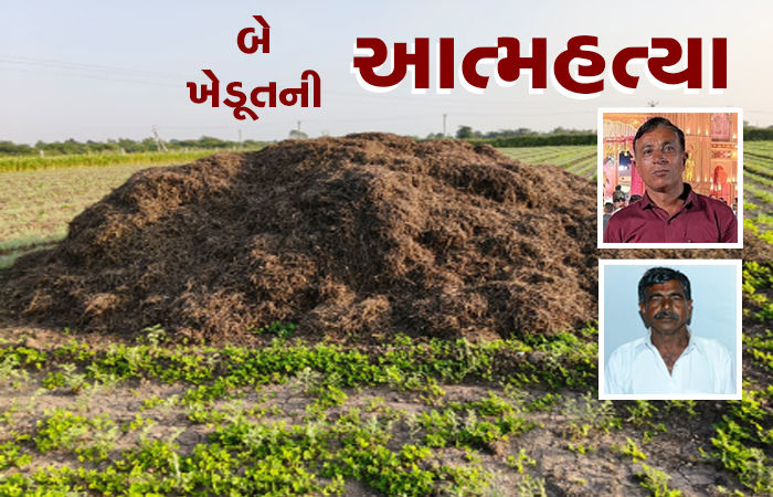 પાક નિષ્ફળ જતાં અરડોઈ અને રેવાણીયામાં બે ખેડૂતની આત્મહત્યા 1 - image