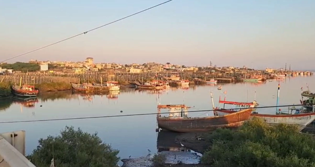 જાફરાબાદનું 'સફેદ સોનું': 'બૂમલા' માછલીએ જાફરાબાદને વૈશ્વિક નકશા પર અપાવ્યું સ્થાન, વાર્ષિક 450 કરોડનો વેપાર 6 - image