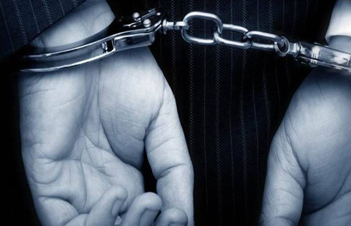 હાઇવે માર્ગો ઉપર તકનો લાભ લઈ ચોરી કરતી ડફેર ગેંગનો સાગરિત પકડાયો 1 - image