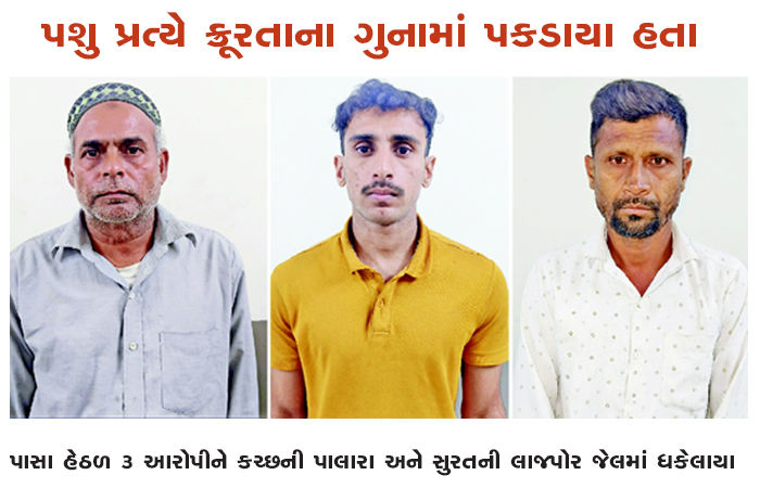 પાસા હેઠળ 3 આરોપીને કચ્છની પાલારા અને સુરતની લાજપોર જેલમાં ધકેલાયા 1 - image