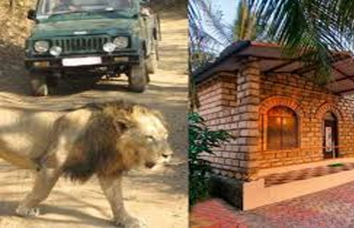 ગીરમાં મંજૂરી વગર ધમધમતા 10થી વધુ રિસોર્ટ અને ફાર્મહાઉસ સીલ, હાઈકોર્ટના આદેશ બાદ કાર્યવાહી 2 - image