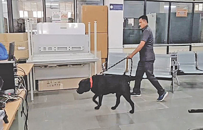 આણંદની પોસ્ટ ઓફિસ અને પાસપોર્ટ ઓફિસમાં પોલીસનું ચેકિંગ 1 - image