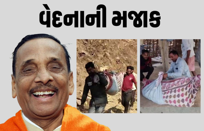 'ટેકરા પર મકાન હોય તો થોડી એમ્બ્યુલન્સ જાય?', સગર્ભાને ઝોળીમાં લઈ જવા મુદ્દે ભાજપ ધારાસભ્યની અસંવેદનશીલતા 1 - image