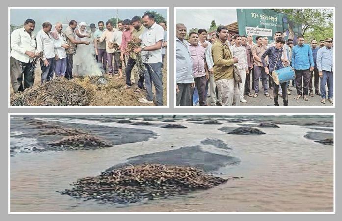 પાક નુકસાનીના ડિજિટલ સર્વેનો વિરોધ: સિહોરમાં પાક બાળીને હવન, ગાંધીનગરમાં ઢોલ વગાડયાં 1 - image