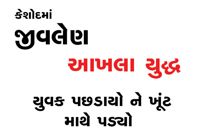 કેશોદમાં જીવલેણ આખલા- યુદ્ધ, યુવક પછડાયો ને ખૂંટ માથે પડયો 1 - image