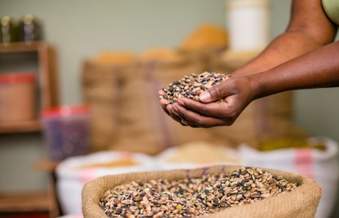 PDS grain deliveries to halt in Gujarat from June 1 as shopkeepers protest over KYC compensation