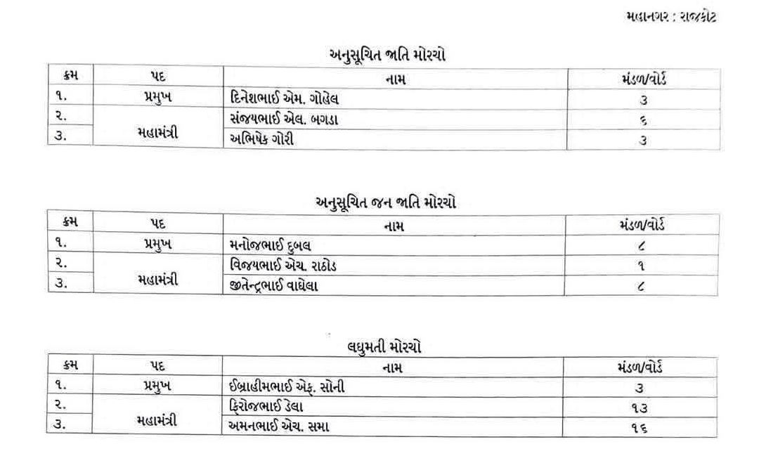 ભાવનગર-રાજકોટ શહેર ભાજપના નવા હોદ્દેદારોની નિમણૂક, જુઓ યાદી 7 - image