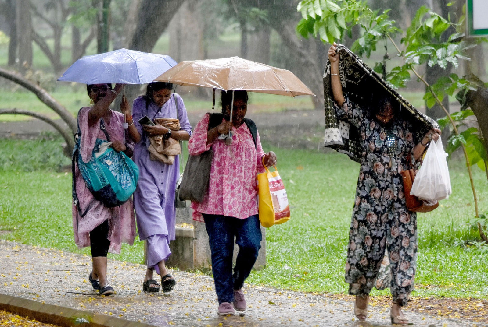 India launches Bharat Forecast System to boost monsoon tracking disaster management
