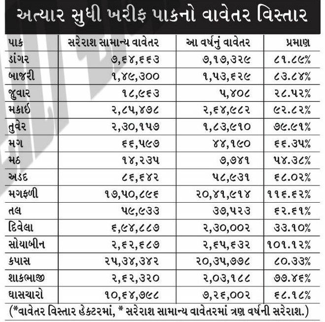ગુજરાતમાં મેઘમહેર: સરેરાશ 64 ટકા વરસાદ, 82 ટકા વાવણી પૂર્ણ, 51 ડેમ હાઈ ઍલર્ટ પર 2 - image