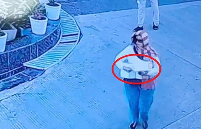 સ્ટાઇલિશ ચોર! વૈભવી કારમાં આવી અને મંદિરમાંથી ચાંદીની મૂર્તિ ચોરી રફુચક્કર થઇ ફિઝિયોથેરેપિસ્ટ 1 - image