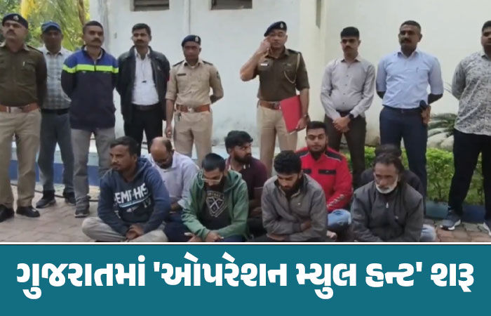 મ્યુલ એકાઉન્ટથી સાયબર ફ્રોડના તાર જૂનાગઢ સુધી પહોંચ્યા, કરોડોના ટ્રાન્ઝેક્શન કરનારા 8ની ધરપકડ 1 - image