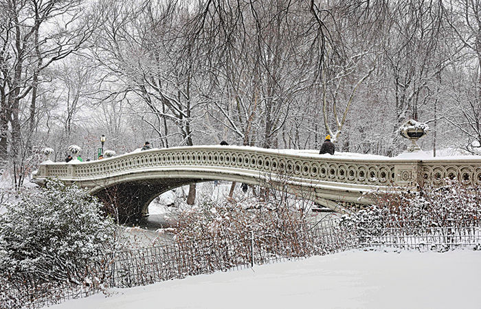 અમેરિકામાં તોફાની બરફ વર્ષા : 2100 ફ્લાઈટ રદ 1 - image