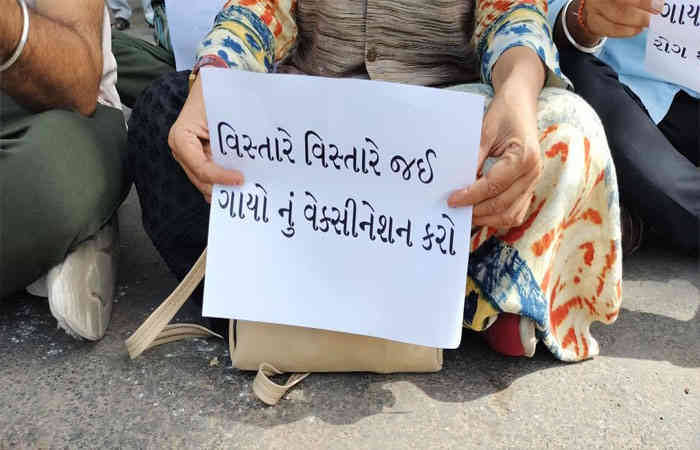 જામનગરમાં પશુઓમાં ફેલાતા લમ્પિ વાયરસ મામલે તંત્રને ઢંઢોળવા ગૌ ભક્તો અને કોંગી કોર્પોરેટરનો પ્રયાસ 2 - image