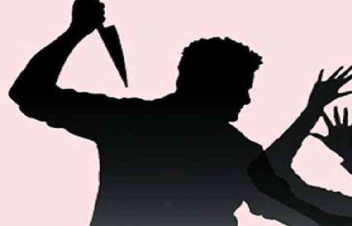 મોટાભાઇએ નાનાભાઇને ચાકુના ઘા મારતા સારવાર હેઠળ 1 - image