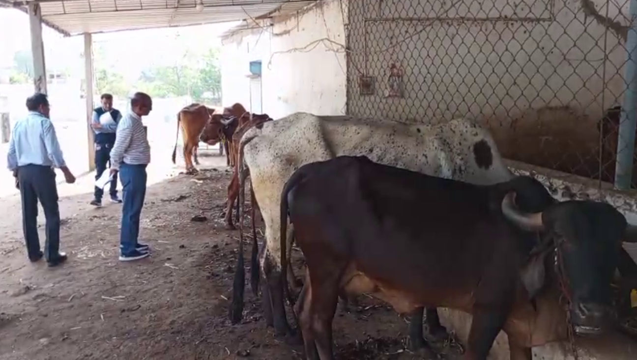 અમરેલી: માનવ મંદિર ખાતે કોંગો ફીવરનો શંકાસ્પદ કેસ, વિદ્યાર્થી સારવાર અર્થે અમદાવાદ ખસેડાયો 2 - image