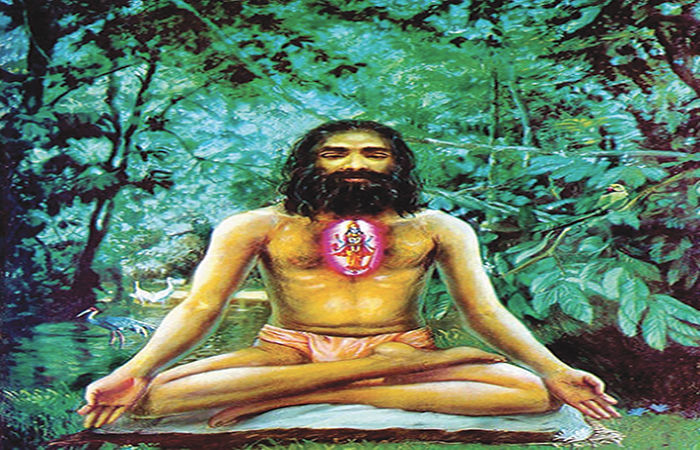 સિદ્ધયોગી ઉચ્ચતર ચેતનાની સ્થિતિમાં અસાધ્ય રોગોનું નિવારણ કરતા હતા 1 - image