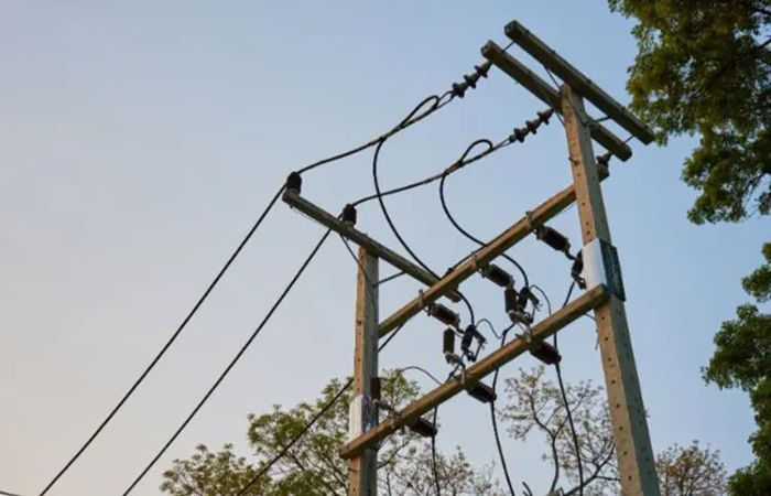 Two PGVCL workers die by electrocution in Gondal