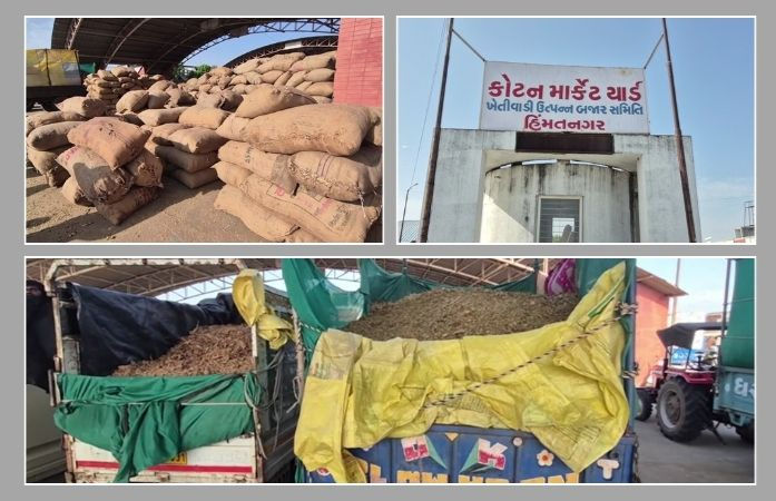 સાબરકાંઠામાં તમાકુની ખરીદીનો પ્રારંભ: 3 દિવસમાં 8 હજાર બોરીની આવક, ઉંચા ભાવ મળતા ખેડૂતોમાં ખુશી 1 - image