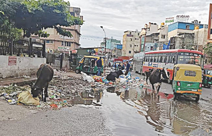 બજારની વાત                          . 6 - image